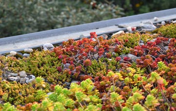 the cost of Crouch Hill green roof installation