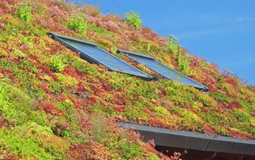 Crouch Hill living roof systems