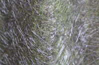 Crouch Hill fibreglass roof work